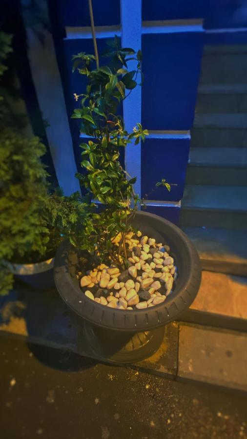 La Petite Maison Hotel Stambuł Zewnętrze zdjęcie